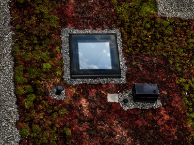 Flat Roof Window Fixed FRF+FGT - 600x600mm | RoofNStop Ireland